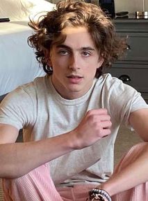 Uważasz, że Timothée Chalamet jest hot? Musisz przyjechać do Nowego Jorku