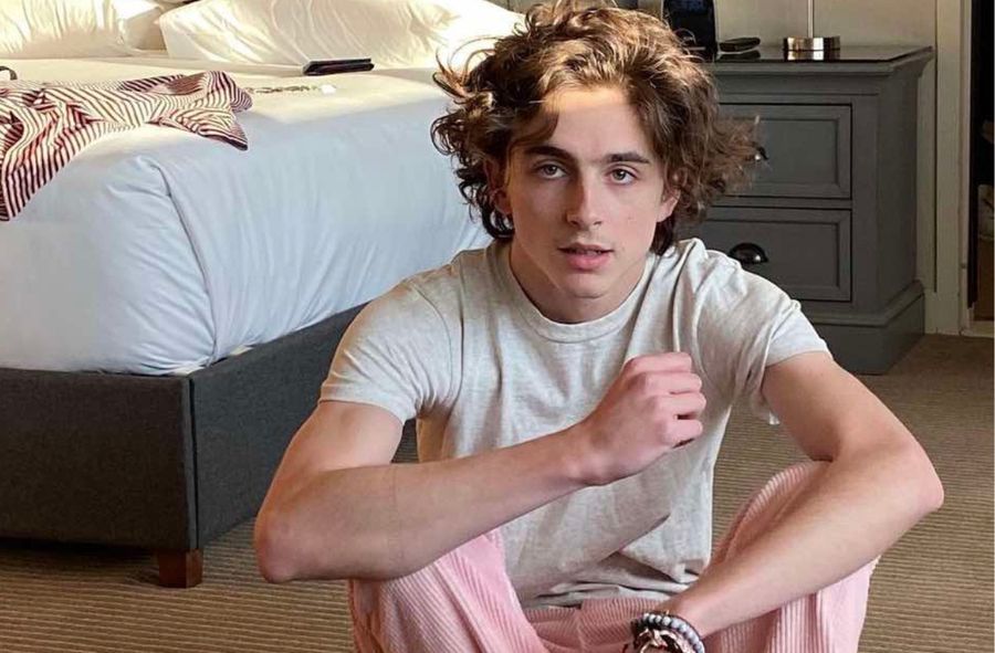 Uważasz, że Timothée Chalamet jest hot? Musisz przyjechać do Now