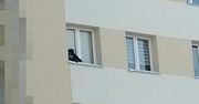 Lubin. Pies na parapecie na 9. piętrze. Nieodpowiedzialny właściciel za kratkami