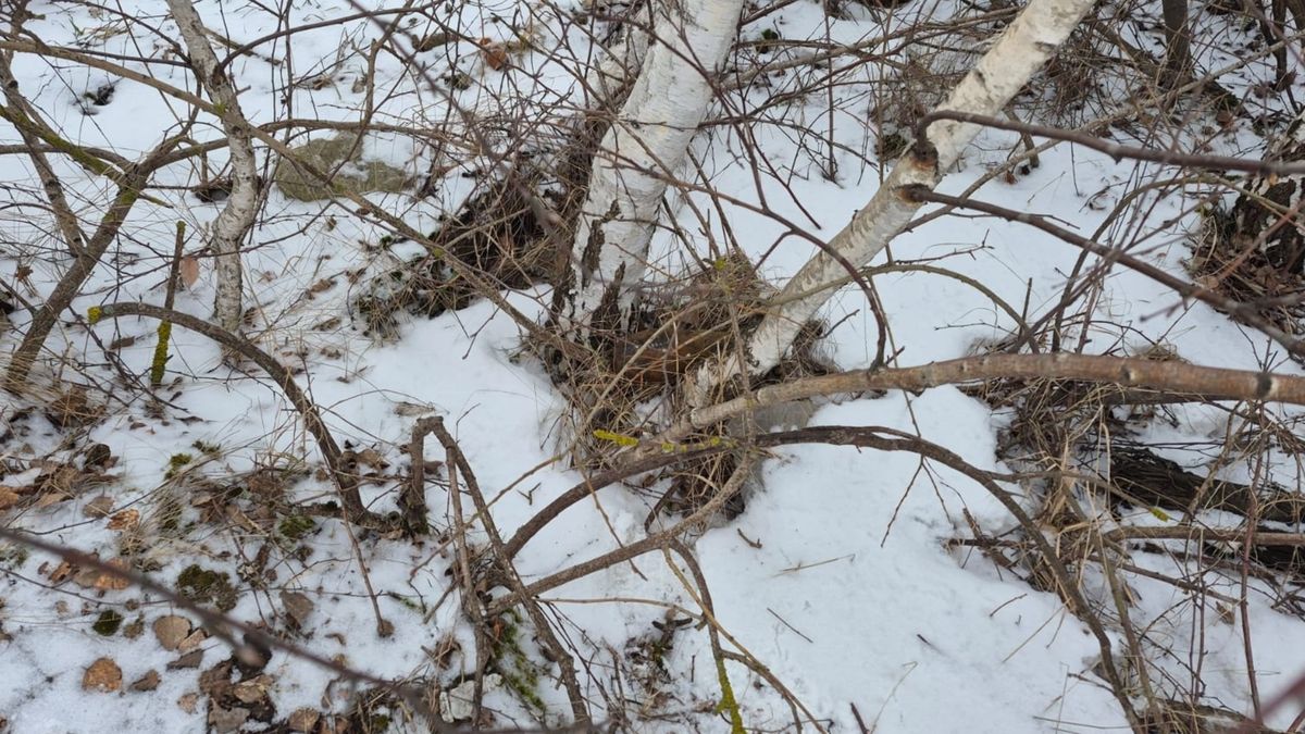 Kolejny niewybuch na terenie gminy Trzemeszno.