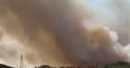 Pożar lasu koło Narbonne. Ogień strawił ponad 2 tys. hektarów