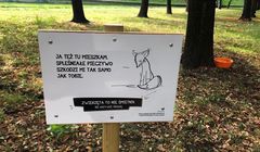 Miasto Jest Nasze z akcją przeciw dokarmianiu zwierząt w Warszawie