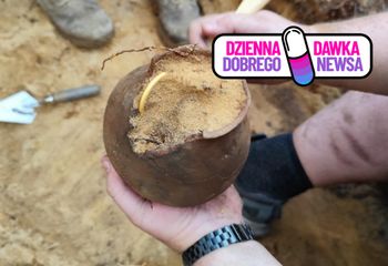 Niezwykłe odkrycie pod Kaliszem. "Wypchany złotem"