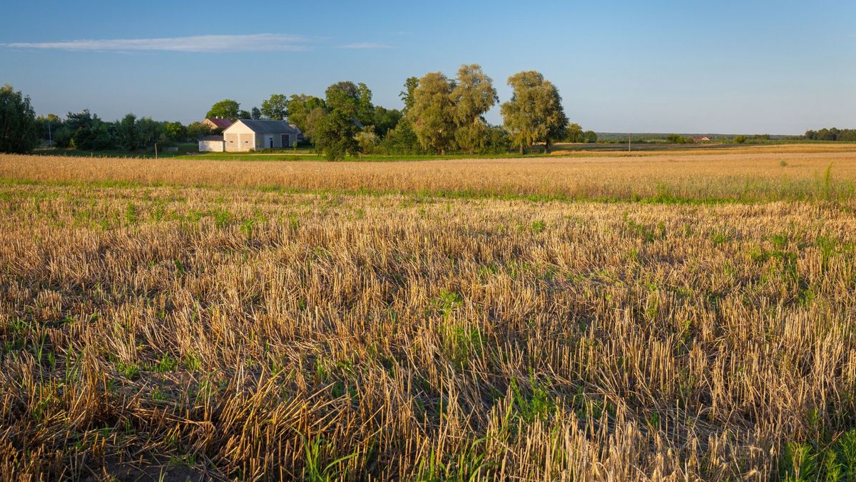 438 działek i lewe wnioski (zdj. ilustracyjne)