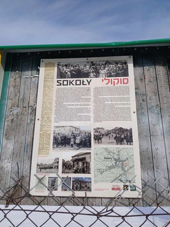 Druhowie z Ochotniczych Straży Pożarnych zmagali się na grobach. Zawody w Sokołach urządzono na cmentarzu żydowskim