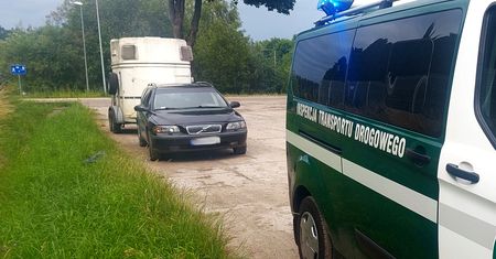 70 km/h poza miastem. W wakacje przepis jest szczególnie ważny