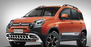 Fiat Panda Cross - niedźwiadek z zębem