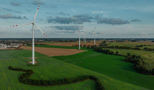 Polska na progu zielonej rewolucji, ale do zmiany niezbędne są dalsze inwestycje