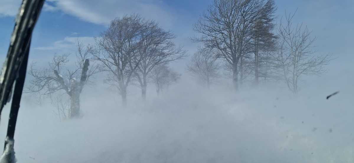 Nowy Żmigród: Kierowcy utknęli w zamieci śnieżnej. Pomogła policja