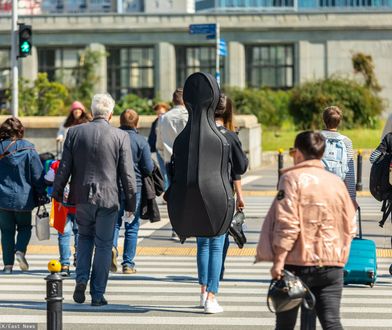 Oszuści znaleźli nową metodę. Wykorzystują Narodowy Spis Powszechny