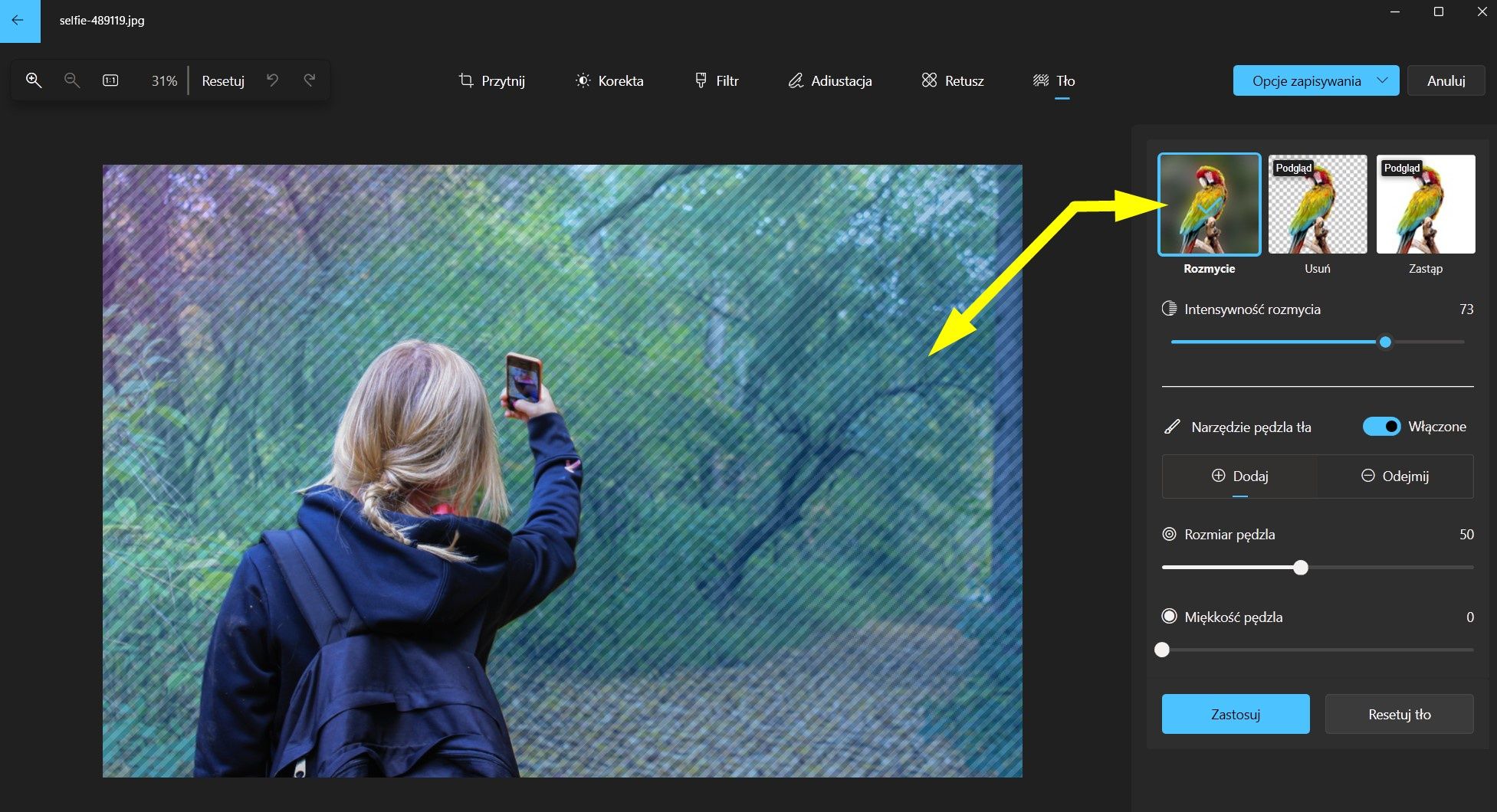 Rozmywanie tła w Windows 11