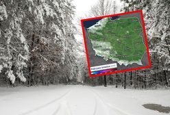 Najnowsza prognoza. Mapa pokazuje, gdzie posypie śnieg