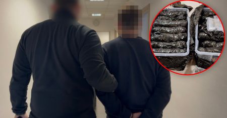 Odkrycie w piwnicy na Mokotowie. Policjanci nagrali, co znaleźli