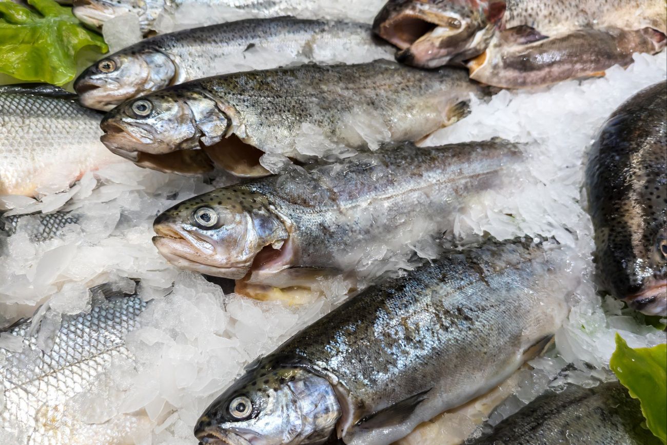 Tak można się naciąć na świątecznych rybach. Hodowcy tłumaczą