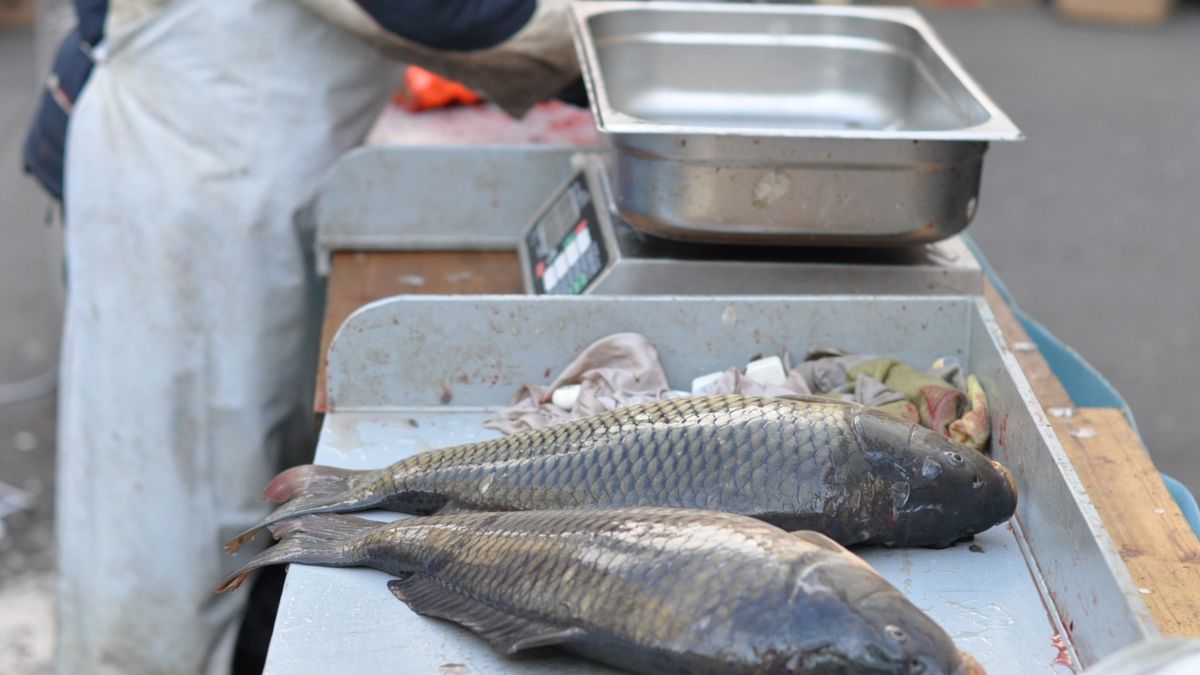 Karp staniał. Jego cena jest niższa niż rok temu