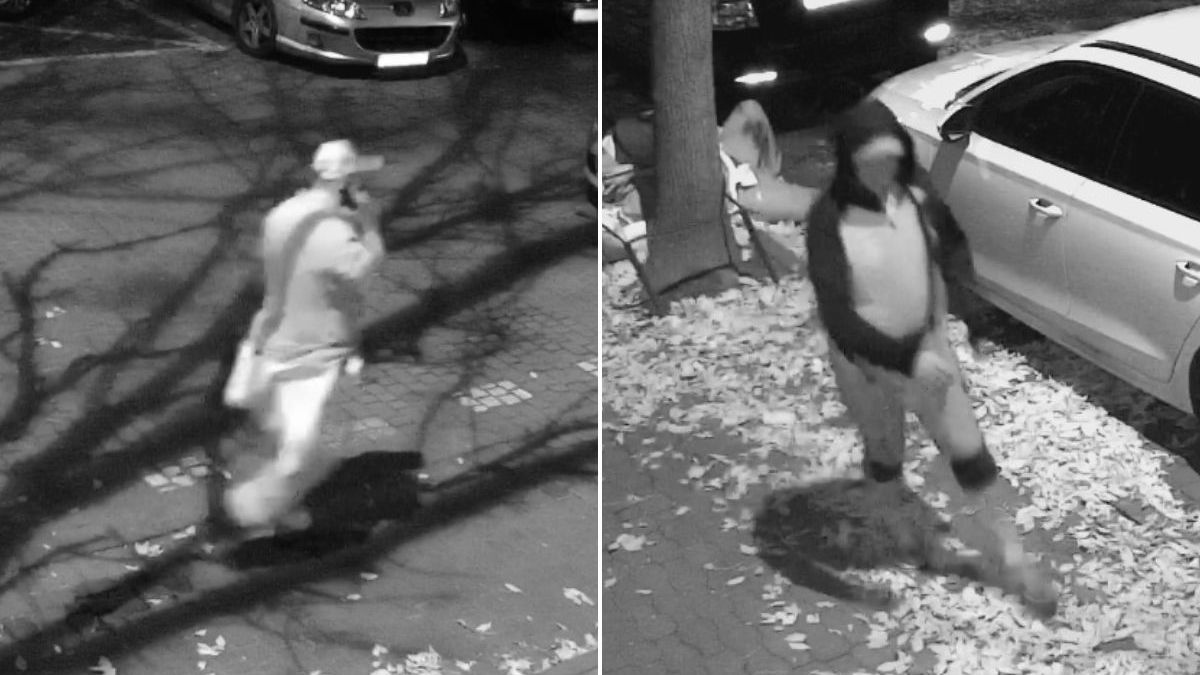 Wizerunek sprawców brutalnego pobicia przed galerią handlową przy ul. Lipowej
