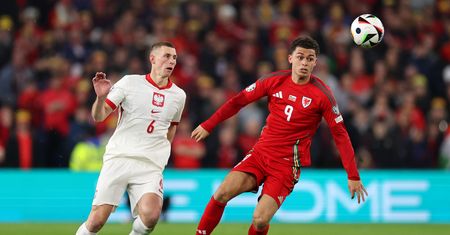 Skandal w Cardiff. Głośno o tym, co wydarzyło się na trybunach