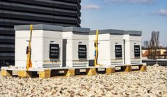 Dentsu postawiła pasiekę na dachu swojego biura