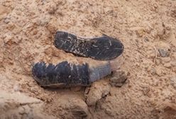 Makabryczne wideo z Buczy. "Zastrzelili ją bez wyraźnego powodu"