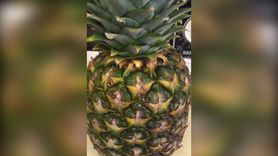Właściwości skórki z ananasa (WIDEO)