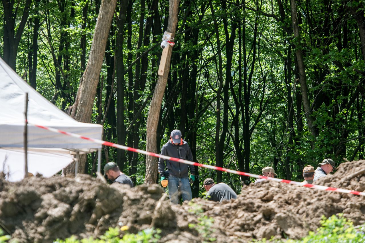 "Zaognić stosunki". Wołyń miał ponownie poróżnić Polskę i Ukrainę