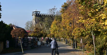 Nie trzeba będzie grzać? Ekspert odpowiada, jest prognoza na zimę