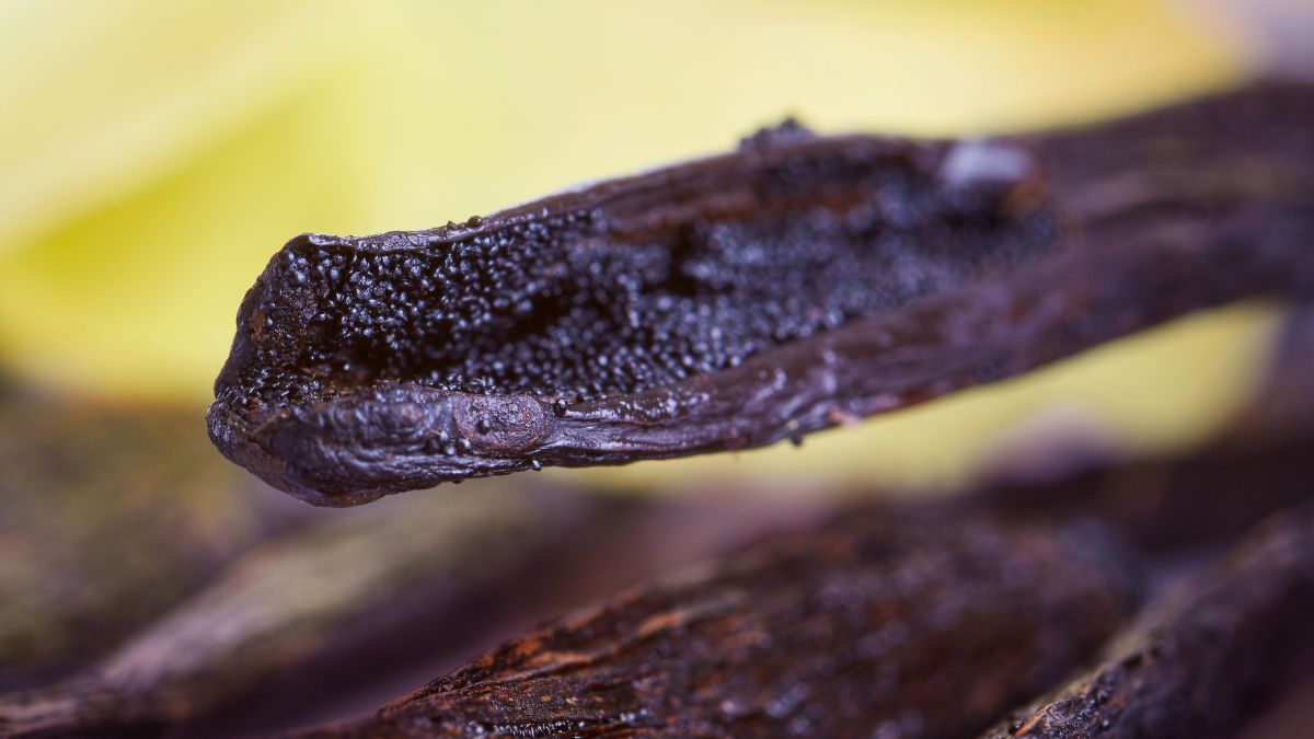 Ziarenka wanilii to nie tylko piękny aromat