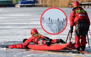 Taki widok w Bolesławcu. Od razu wyciągnął telefon