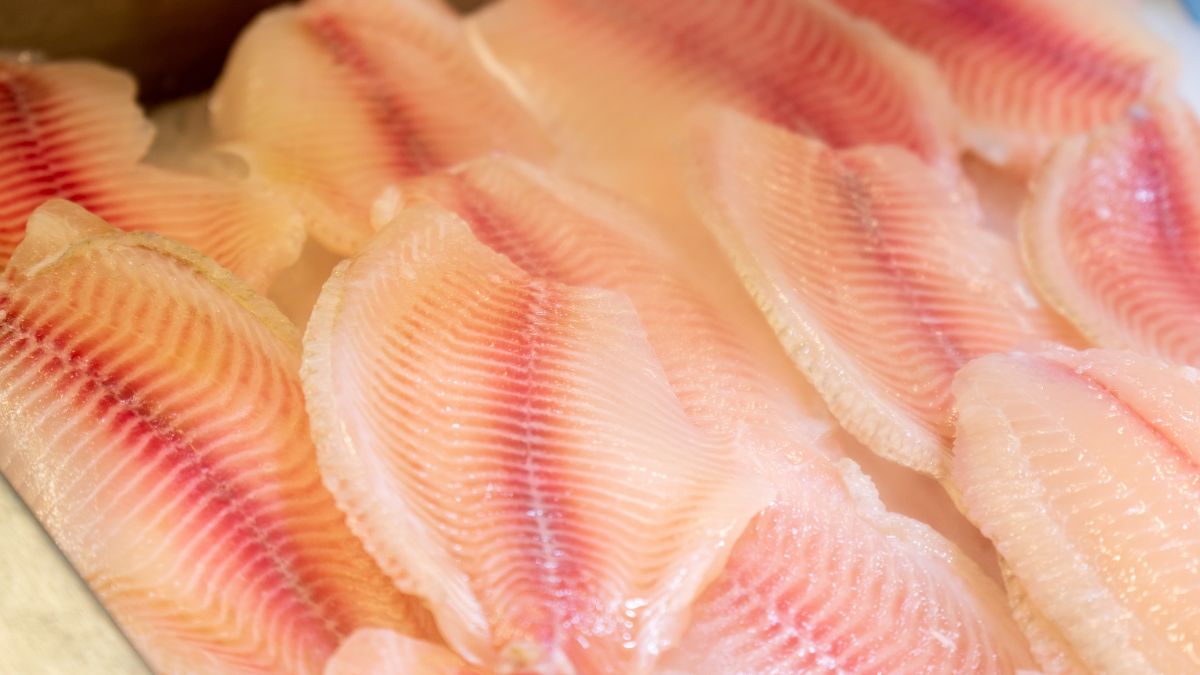 Tilapia, obok pangi, należy do ryb o wysokim zanieczyszczeniu metalami ciężkimi