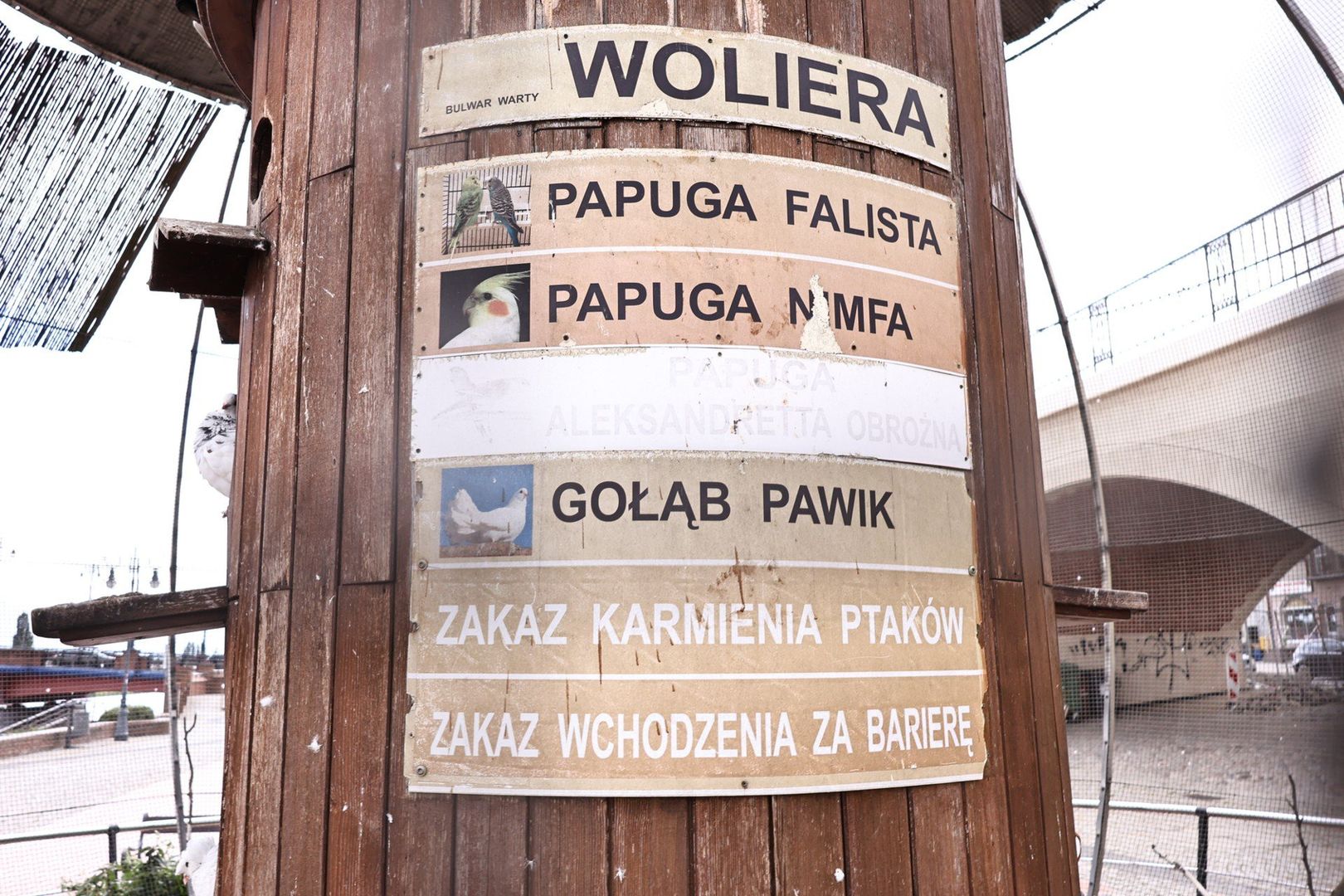 Woliera z ptakami na bulwarze od strony byłej willi LOK-u stanęła w 2011. W przyszłym roku prawdopodobnie zostanie zdemontowana.