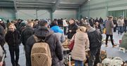Zamość: Zmiana terminu Pchlego Targu. Odbędzie się 7 lutego