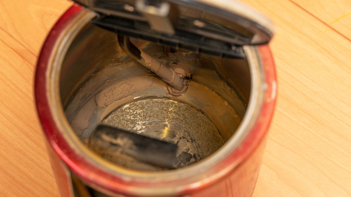 Zakamieniony czajnik? To warzywo sobie świetnie poradzi