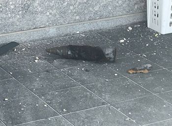 Irański kasetowy pocisk balistyczny. Oto co znaleziono w Izraelu