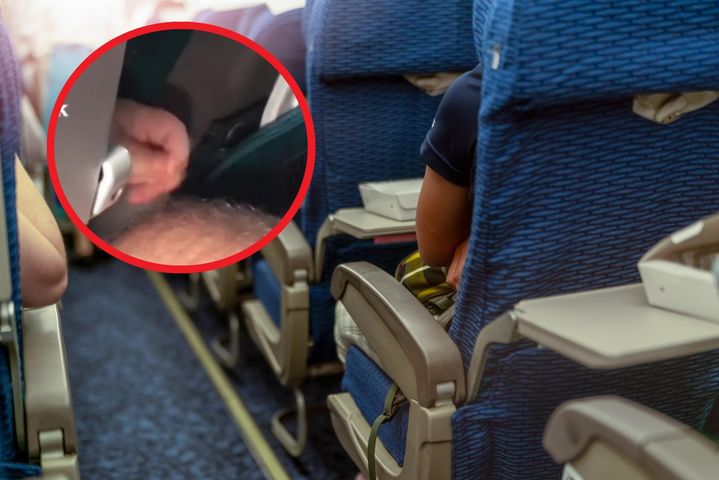 Dziecko w samolocie myślało, że znalazło szczeniaka. Mała rączka napotkała jednak coś innego
