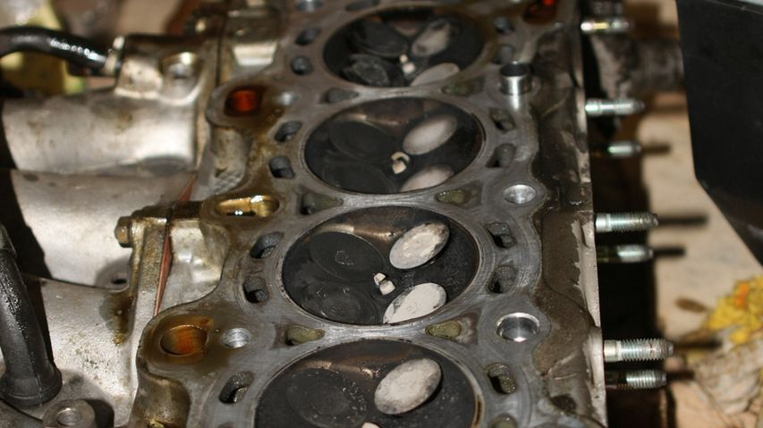 Źródło: http://www.muchi.yoyo.pl/