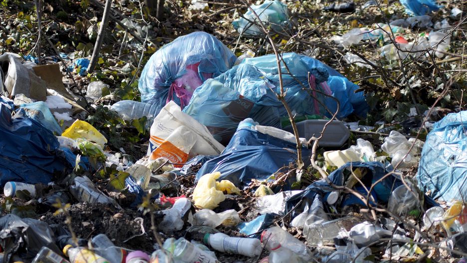 Za porzucenie śmieci w lesie w Niemczech będą groziły srogie kary 