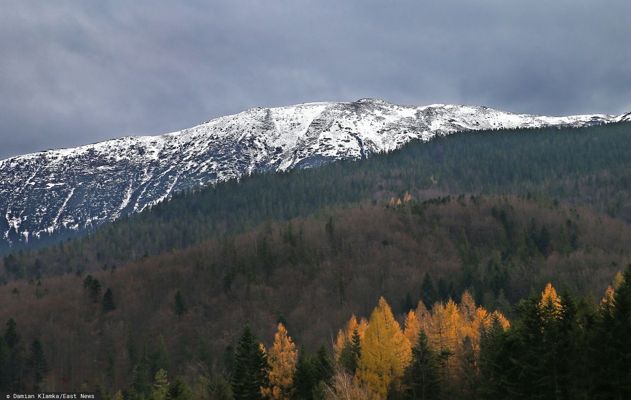 Babia Góra. Beskidzki GOPR wydaje ostrzeżenie przed lawinami