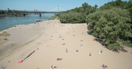 Alarmująca sytuacja w Warszawie. Pomarańczowe kropki na drzewach, ludzie działają