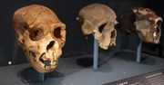 Gdzie żył i umarł ostatni neandertalczyk? Naukowcy wskazują