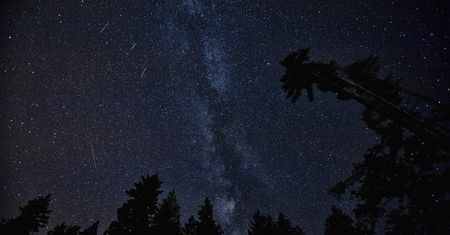 Leonidy 2022. Nie przegap "deszczu meteorów"