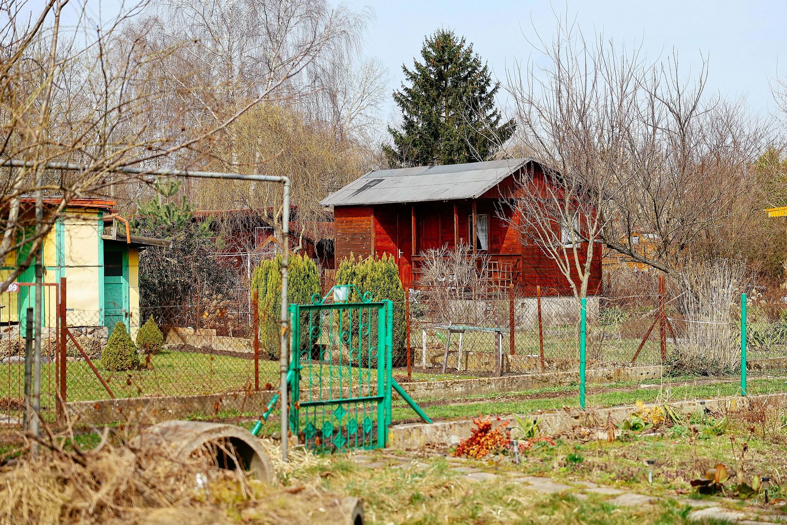 Działkowcy na swoim. Ale nie wszystko im wolno