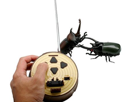 Rechargeable RC Beetle Battle - CAUCASUS BEETLE