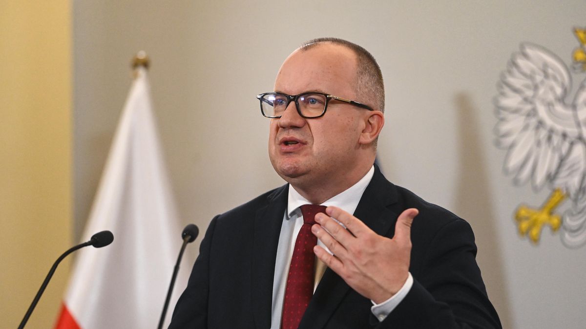 Adam Bodnar
Piotr Nowak
konferencja, �awnik, Ministerstwo, og�oszenie, prasowa, program, s�dowy