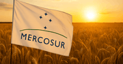 Bitwa przeciwko Mercosur – wygrana!