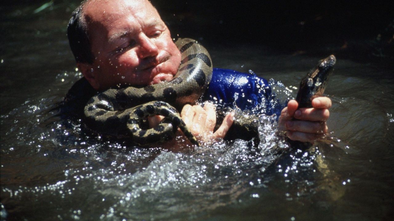 Pałkiewicz: Homo sapiens postcovidowy nie skorzystał z okazji