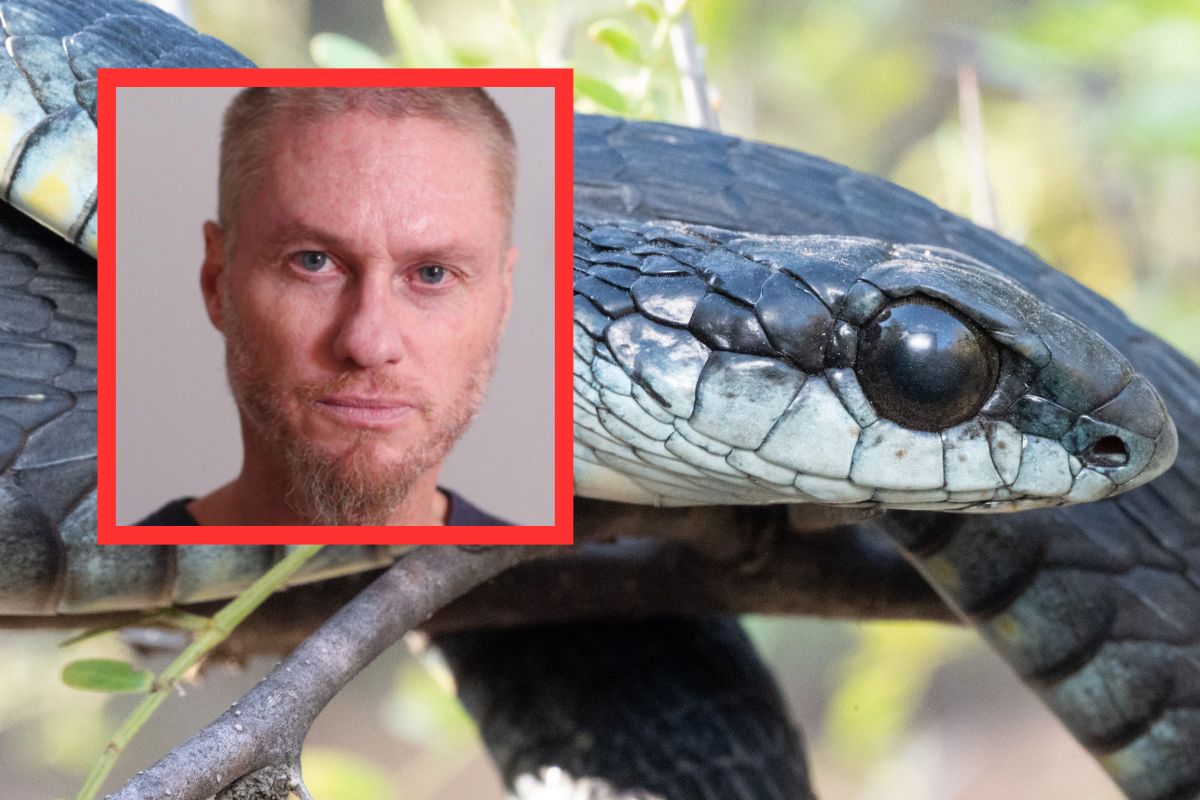 Tim Friede przeżył 200 ukąszeń węży. Jego krew daje nadzieję