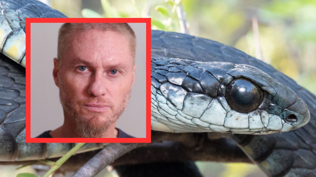 Przeżył 200 ukąszeń węży. Jego krew daje nadzieje.