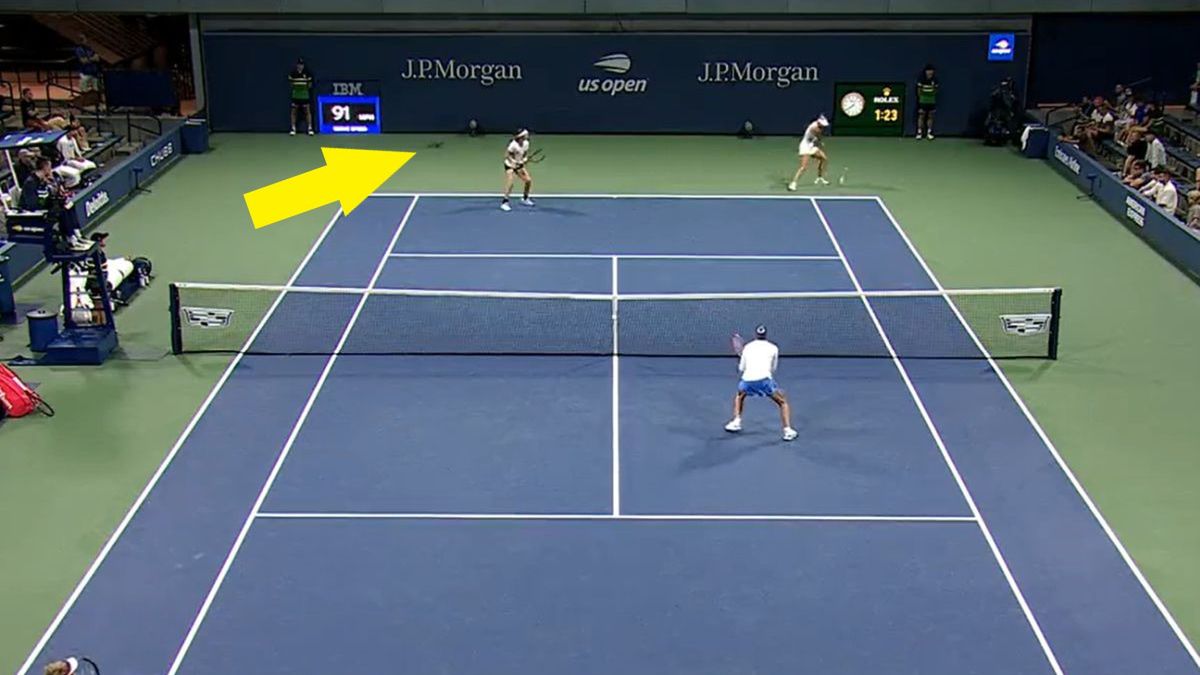 Na zdjęciu: mecz US Open, podczas którego na kort wbiegła wiewiórka