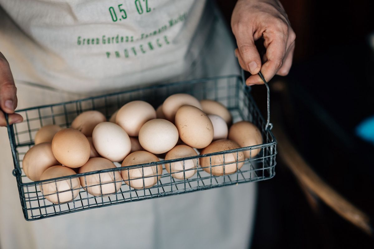 Jak sprawdzić, czy jajko jest świeże? 3 proste metody, które zawsze się sprawdzają