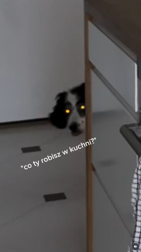 Helena Englert pokazała kuchnię